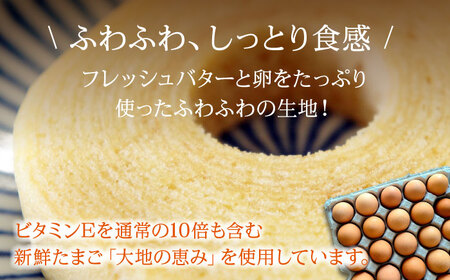 焼き菓子 パティスリー焼き菓子セット 計20個 焼き菓子[AGCB007]