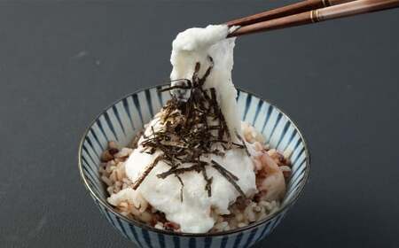 ここのえの自然薯 約1kg 山芋 ヤマイモ やまいも 芋 九重町産 【2026年12月上旬～2027年2月下旬まで順次発送予定】