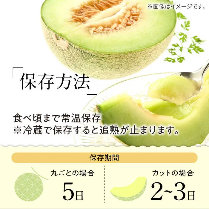 【2027年5月-発送】【さわやかな味!】訳あり タカミメロン 2玉 (約2kg) 傷もの  / メロン めろん 果物 フルーツ / 南島原市 / 南島原果物屋[SCV019]