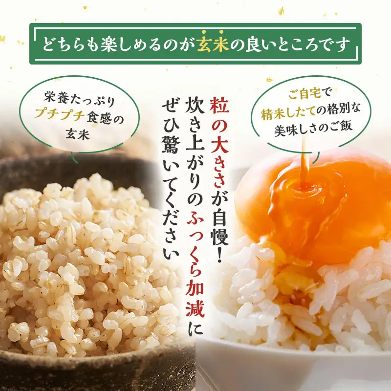 令和7年産 玄米 秋田県産 あきたこまち  アグリ檜山米 玄米【30kg】