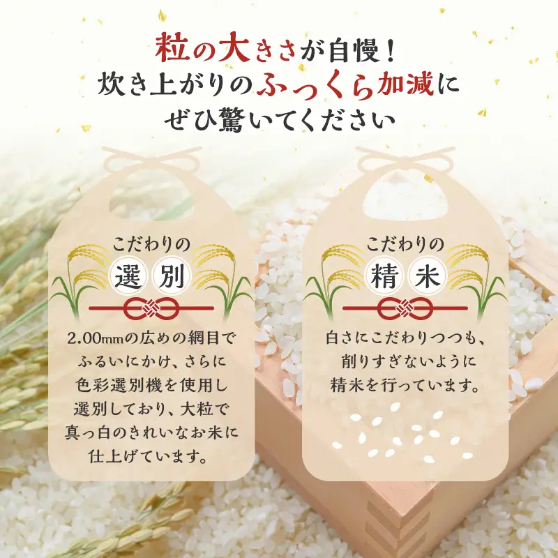 令和7年産 あきたこまち 秋田県産 白米 アグリ檜山米 あきたこまち【10kg】