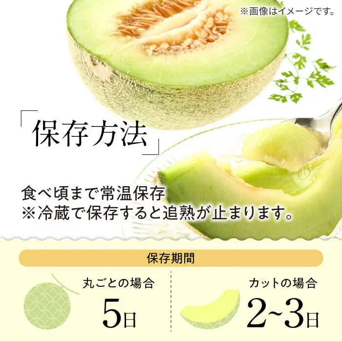 【2027年5月-発送】【さわやかな味わい!】訳あり タカミメロン 約4.5kg（3?6玉）傷もの / メロン めろん フルーツ 果物 / 南島原市 / 南島原果物屋[SCV025]