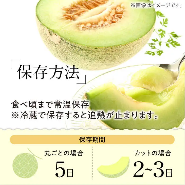 【2027年5月-発送】【さわやかな味!】訳あり タカミメロン 2箱セット（1箱 3?6玉）傷もの / メロン めろん フルーツ 果物 / 南島原市 / 南島原果物屋[SCV026]