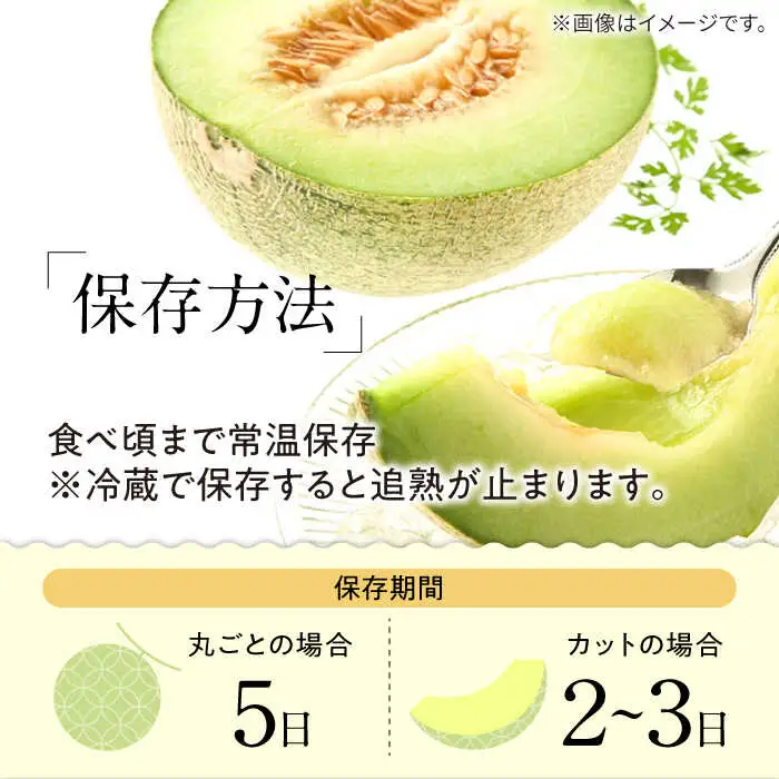 【2027年5月-発送】【さわやかな味!】訳あり タカミメロン 3箱セット（1箱 3?6玉）傷もの / メロン めろん フルーツ 果物 / 南島原市 / 南島原果物屋[SCV027]