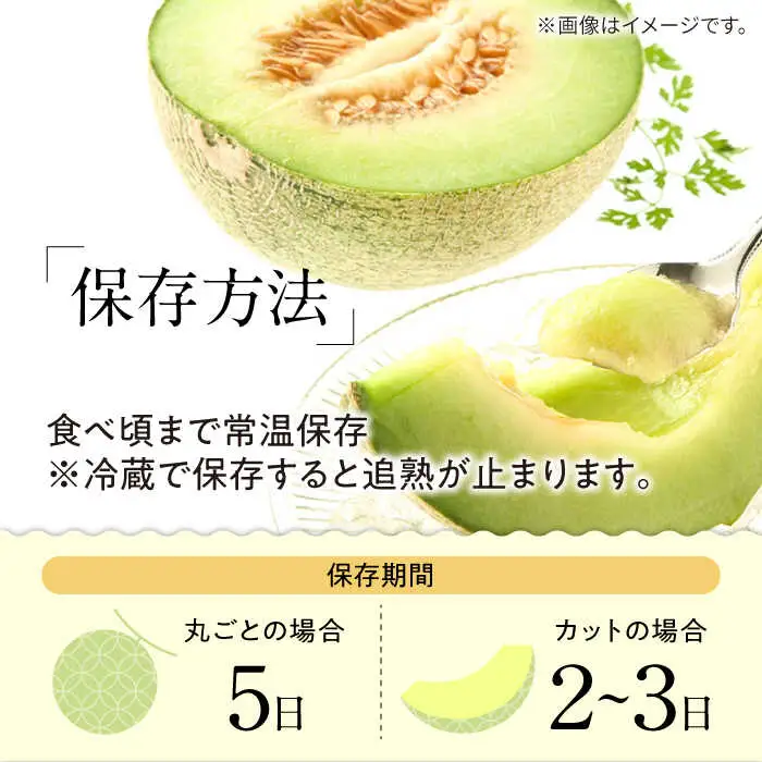 【2027年5月-発送】【さわやかな味!】訳あり タカミメロン 1玉 約1kg（傷もの）/ メロン めろん フルーツ 果物 / 南島原市 / 南島原果物屋[SCV028]