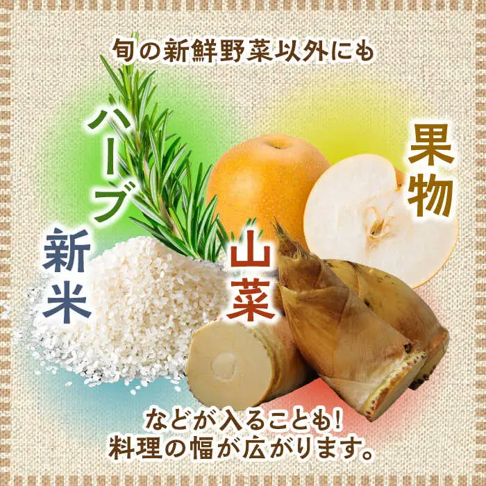 【特別栽培】 農家セレクト日田の厳選食材 詰め合わせ 日田市 野菜 果物 米 産地直送 新鮮 セット [ARBR001]
