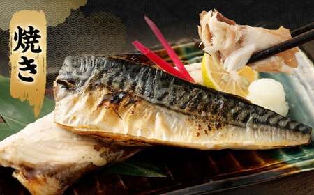 【訳あり規格外】  業務用 無添加 無塩さば どーんと! 4.8kg 鯖 さば サバ 魚 お魚 さかな 魚介 魚介類