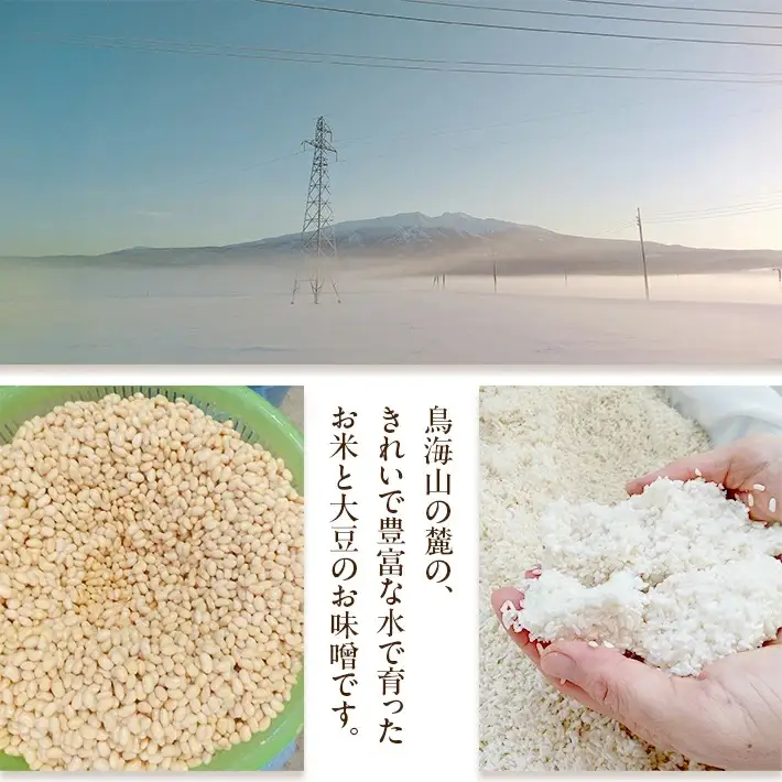 米味噌 あかり味噌 100g×20袋 計2kg 冷蔵便 ※離島発送不可 熟成 木樽仕込み 寒仕込み みそ クラフト味噌 小分け お試し 少量 東北 山形県 遊佐町 庄内 [1616]