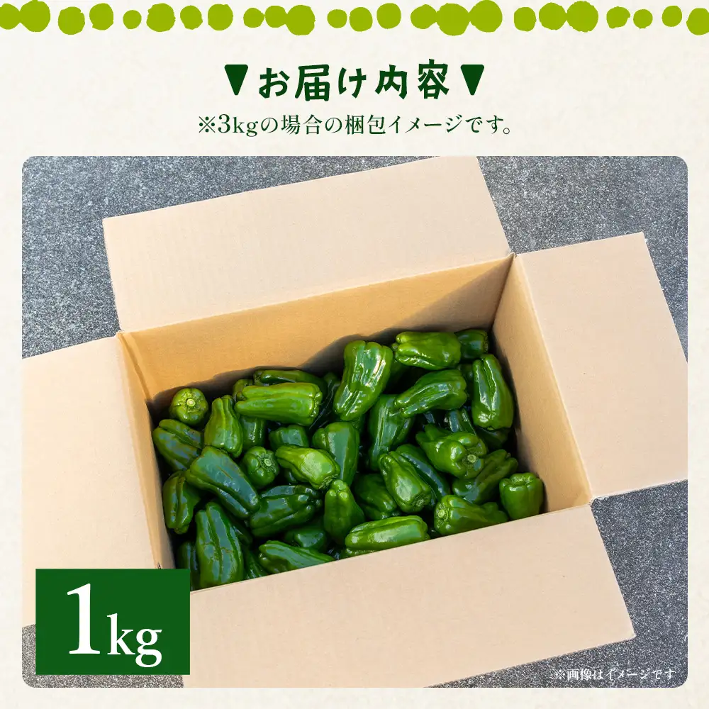 【先行受付】ピーマン 1kg【ピーマン ピーマン ピーマン ピーマン ピーマン】 im-0001