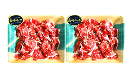【2回定期便】長崎和牛 切り落とし 600g(300g×2)[OCD017]