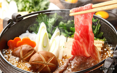 【全12回定期便】長崎和牛 牛肉(肩ロース・ハンバーグ・ローストビーフ)定期便 約10kg[OCD026]牛肉定期便牛肉定期便