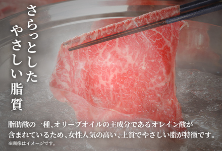 【和牛セレブ】【復興支援】能登牛 牛肩ロース すき焼き・しゃぶしゃぶ400g  牛肉 最高級 黒毛和牛 和牛 肉汁