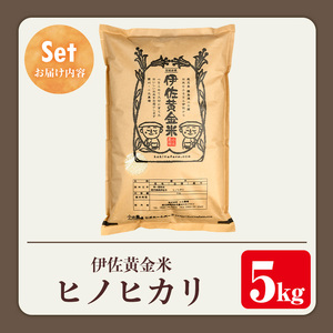 isa599 《数量限定》令和7年産 小北農場のお米 伊佐黄金米〈ヒノヒカリ〉(5kg) 鹿児島 伊佐 お米 特別栽培米 伊佐米 白米 ヒノヒカリ ひのひかり おにぎり ごはん 【小北農場】