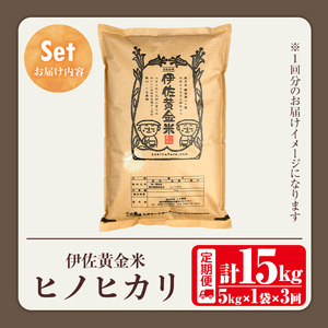 isa601 《数量限定・3回定期便》令和7年産 小北農場のお米 伊佐黄金米〈ヒノヒカリ〉(計15kg・5kg×1袋×3回) 鹿児島 伊佐 お米 特別栽培米 伊佐米 白米 ヒノヒカリ ひのひかり おにぎり ごはん 【小北農場】