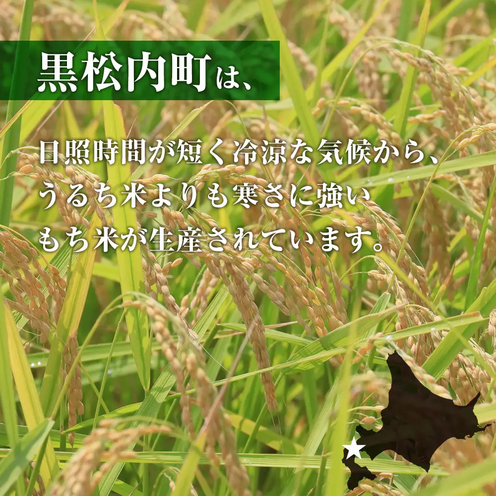 北海道産 もち米 ＜きたゆきもち＞20㎏