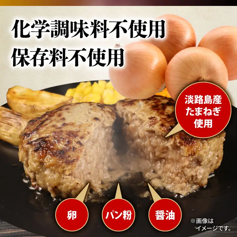 定期便 6回 ハンバーグ 1.2kg 個包装 ギフト お歳暮 大判ハンバーグ
