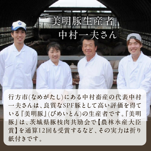 【2026年8月より順次発送】焼売 美明豚「びめいとん」のジューシー焼売2パック（30g×20個×2袋）｜シュウマイ 焼売 美明豚 びめいとん 肉 肉加工品 豚肉 お肉 ジューシー 茨城県 行方市(HJ-1-1)