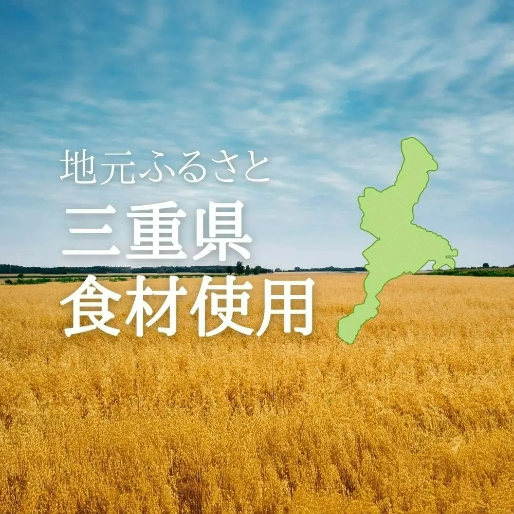 保存料・着色料は使用せず、三重県産高級小麦粉を使ったHideka.5のパウンドケーキ　オレンジ　フルサイズ1本　Hideka.5【パウンドケーキ お取り寄せ グルメ スイーツ お菓子 おやつ 洋菓子 ケーキ オレンジ  ギフト 贈り物 三重県 四日市市 四日市】