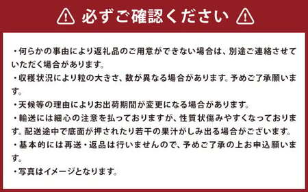 福岡県産 あまおう 約270g×4パック 合計約1080g 【2027年2月上旬～4月上旬までに発送】 いちご ブランド