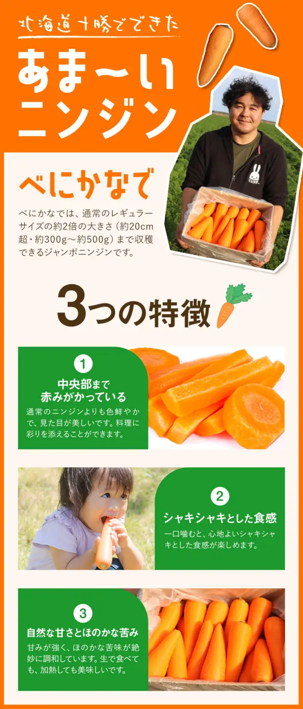 訳あり 甘い人参 浦幌べにかなで 2kg 北海道十勝産
