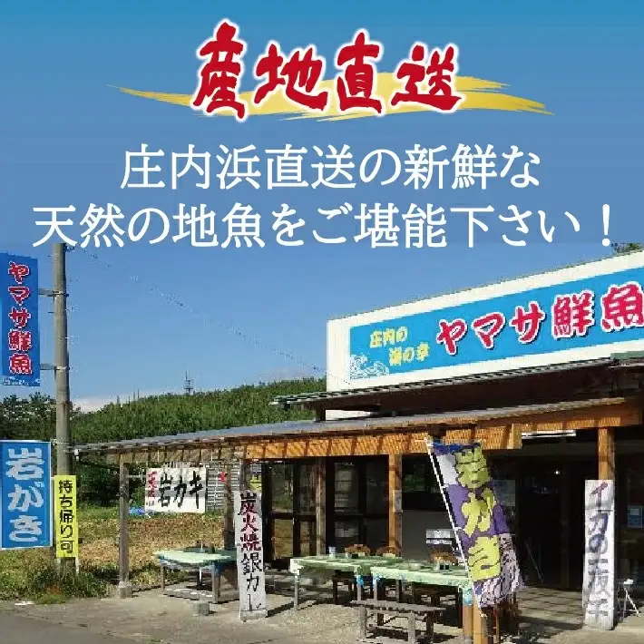 地魚おまかせセット 4～5種類入り 計3.5kg以上 冷蔵便 ※着日指定・離島（沖縄県を含む）への発送不可 東北 山形県 遊佐町 庄内地方 鮮魚 詰合せ 産地直送 新鮮 [1621]
