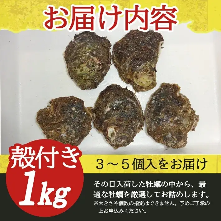 天然岩牡蠣 約1kg 3～5個入 殻付き 山形県遊佐町吹浦産 6月上旬～8月下旬頃お届け 冷蔵便 ※着日指定・離島（沖縄県を含む）発送不可 カキ かき 岩かき お取り寄せ 日本海 東北 庄内 鮮魚 新鮮 [1471]