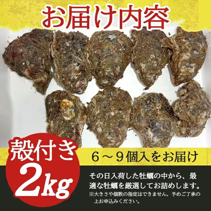 天然岩牡蠣 約2kg 6～9個入 殻付き 山形県遊佐町吹浦産 6月上旬～8月下旬頃お届け 冷蔵便 ※着日指定・離島（沖縄県を含む）発送不可 カキ かき 岩かき お取り寄せ 日本海 東北 庄内 鮮魚 新鮮 [1472]