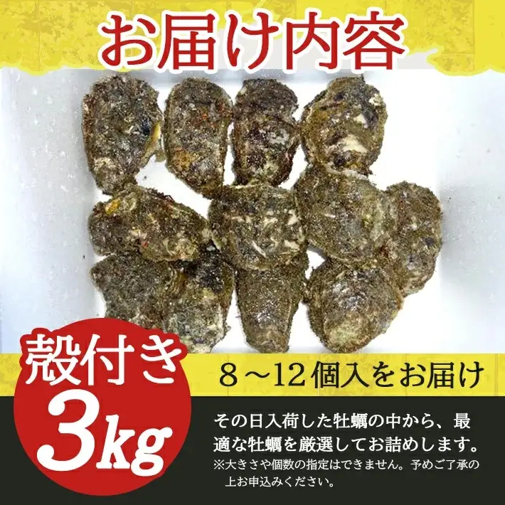 天然岩牡蠣 約3kg 8～12個入 殻付き 山形県遊佐町吹浦産 6月上旬～8月下旬頃お届け 冷蔵便 ※着日指定・離島（沖縄県を含む）発送不可 カキ かき 岩かき お取り寄せ 日本海 東北 庄内 鮮魚 新鮮 [1473]