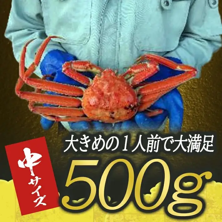 ボイル 本ズワイガニ 1匹 500g程度 遊佐沖 10月中旬～12月下旬頃お届け 冷蔵便 ※着日指定・離島（沖縄県を含む）発送不可 東北 山形県 遊佐町 庄内地方 日本海 カニ 蟹 海産物 シーフード 海鮮 新鮮 まるごと ボイル 焼き 期間限定 お取り寄せ ゆで 茹で [974]