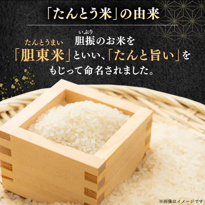 令和7年産 令和8年産 【全6回定期便】ななつぼし [たんとう米] 5kg 米 定期便 6ヵ月 半年 毎月 定期便 6ヵ月 半年 毎月 お米 白米 ご飯 ななつぼし 北海道 [AXAB077]