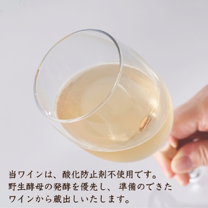 新潟産弥彦ブリューイング白泡 2024年(果実酒:発泡性) 750ml | ワイン