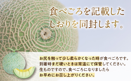 《先行予約》特選マスクメロン 5玉 メロン マルタケ農園
