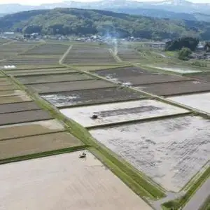 清里産 コシヒカリ 白米20kg こめ 新潟県産 コシヒカリ