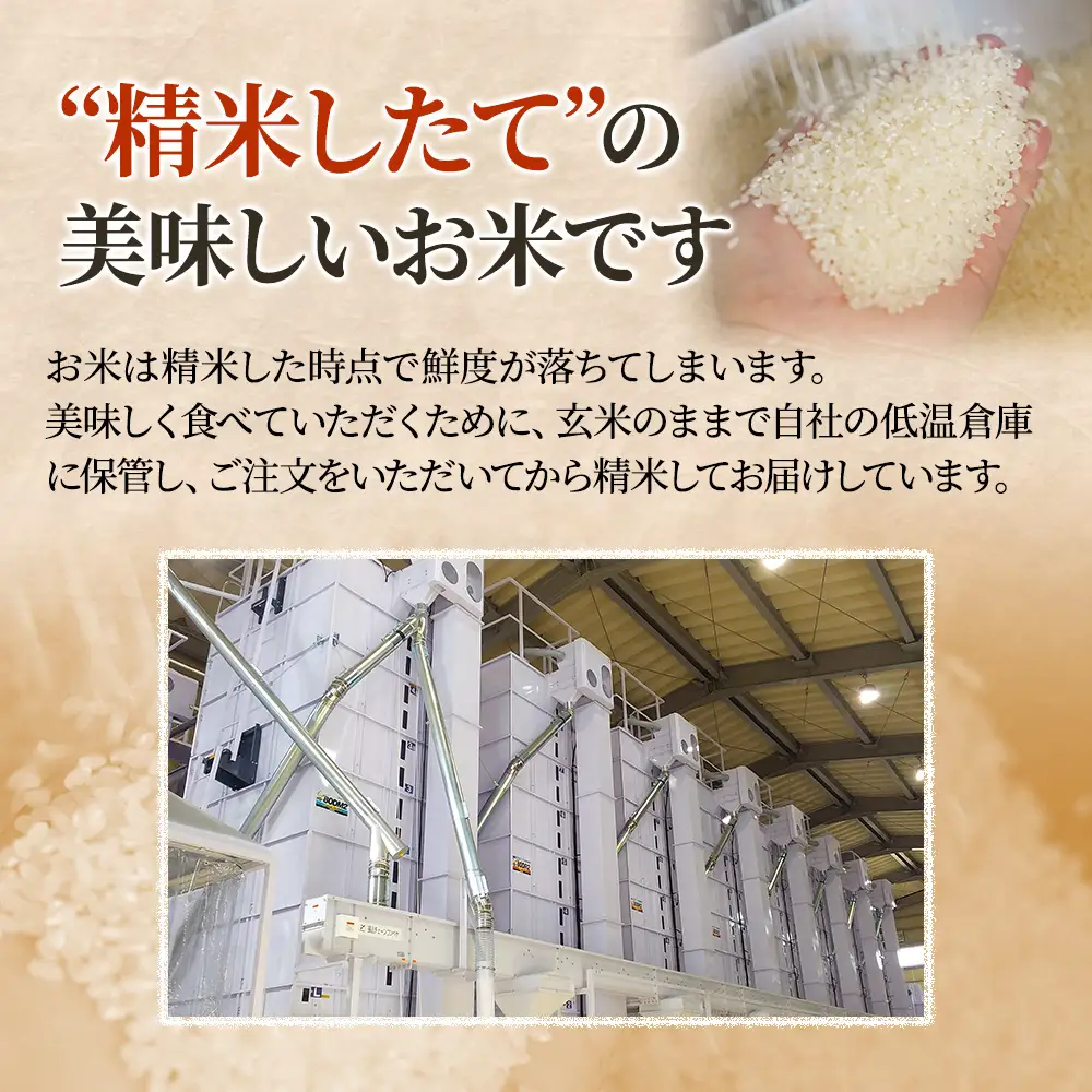 にじのきらめき 上越産 精米 にじのきらめき 5kg【訳あり・2か月定期便】