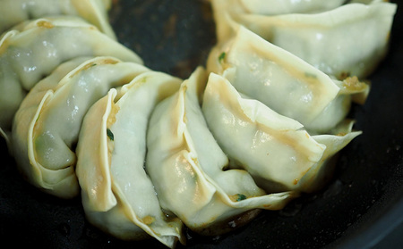 【3ヵ月定期便】【餃子の河童軒】冷凍餃子14個入り×2パック 定期便 3ヵ月 2パック スタミナ 中華 ぎょうざ 名護市 なご 沖縄 ニンニク 手作り 送料無料 ふるさと納税 お取り寄せ おかず
