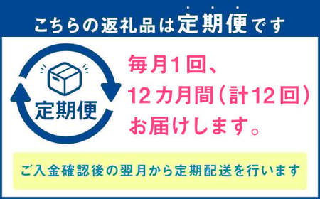 【定期便 12回コース】野菜のプロ40年が届ける 厳選野菜セット！ 野菜・フルーツ 15～16品目 詰め合わせ