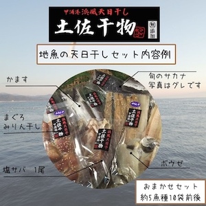 M216 冷凍 天日干し 手作り干物詰め合わせ地魚セット 無添加土佐干物 期間限定品