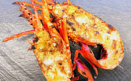 長崎県産 のどぐろ・伊勢海老・赤甘鯛 高級魚介類 セット ／ 【2026年9月上旬～2027年5月下旬発送予定】 のどぐろ 伊勢海老 赤甘鯛 魚 さかな カット 切り身 合計8パック ノドグロ 伊勢えび 伊勢エビ アカアマダイ 鯛 詰め合わせ 長崎県 長崎市