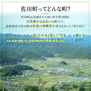 【ふるさと納税】＜フルーツトマト 定期便 4農家からリレーでお届け＞ 数量限定 カラフルトマト 計4回 高糖度トマト さかわ自慢のトマト 【常温】【冷蔵】桃太郎トマト アイコ トスカーナバイオレット オレンジ千果 フルティカ 小鈴エル アルテトマト 送料無料 産地直送