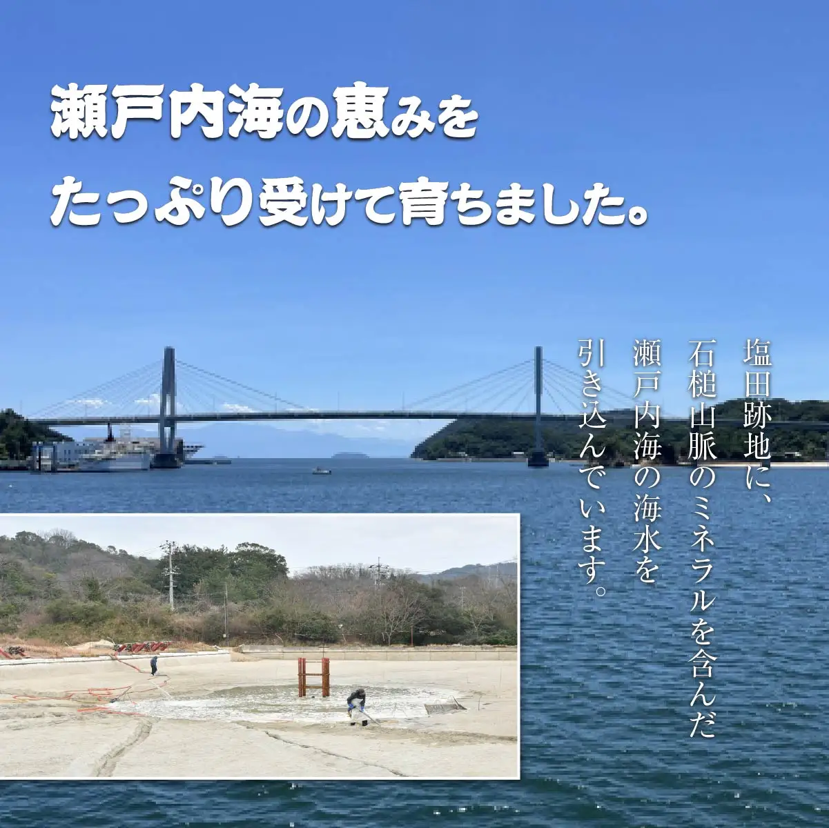 車海老 急速冷凍 活きな車えび【有頭5～7尾(約170g)】【無頭8～10尾(約140g)】各1袋セット【配送不可地域：離島】