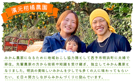 ＜明浜産 温州みかん 約5kg 贈答用＞ 愛媛みかん 農家直送 果物 フルーツ 柑橘 ミカン 蜜柑 S～Lサイズ 贈答 国産 濱元柑橘農園 愛媛県 西予市【常温】『2025年11月下旬から2026年1月中旬までに順次出荷予定』AHK0001