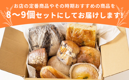 ＜Cotopanおまかせパンセット（8～9個）＞ 天然酵母 国産 ハード系 スイーツ モーニング 低温長時間発酵 パン お楽しみ 定番商品 おすすめ商品 自家製酵母 詰め合わせ 詰合せ 詰め合せ Cotopan 愛媛県 西予市【冷凍】『1か月以内に順次出荷予定』UCO0001