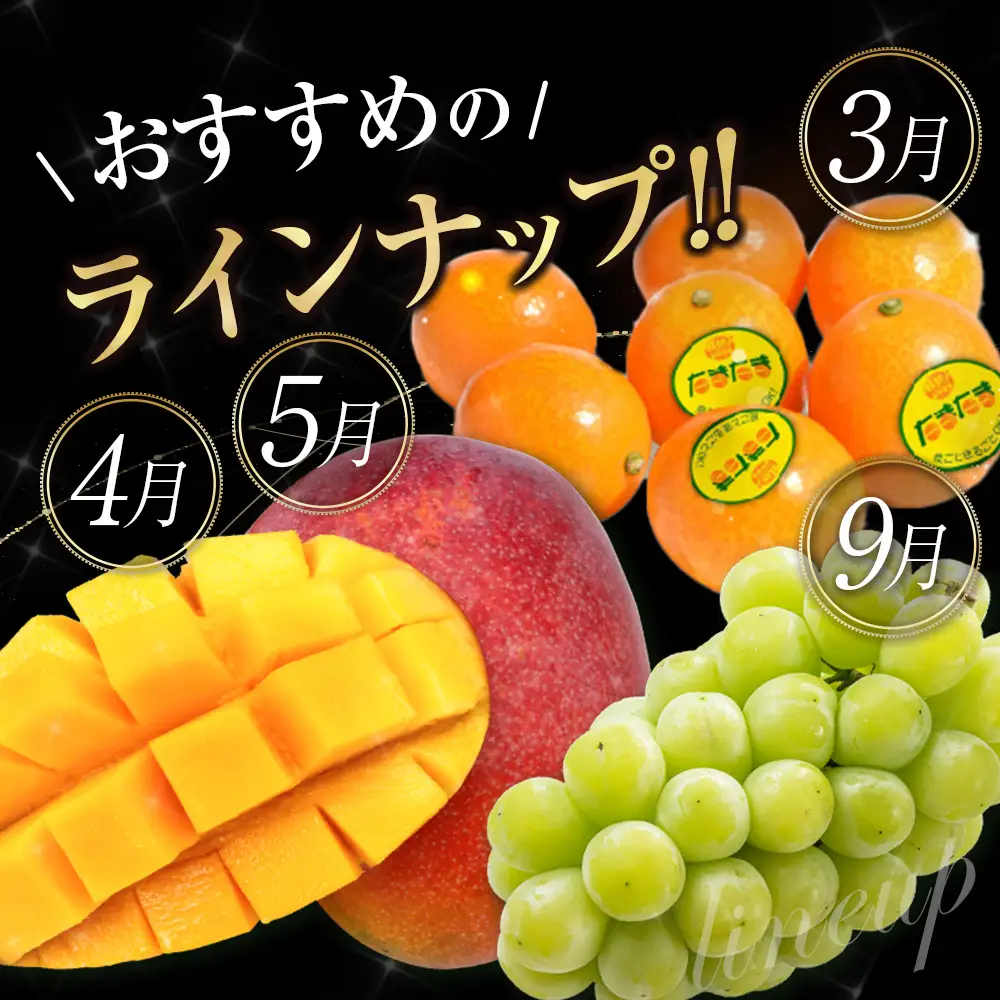 旬のくだもの定期便 「厳選コース」 全12回 マンゴー いちご マスカット 国産 宮崎 F153-2608
