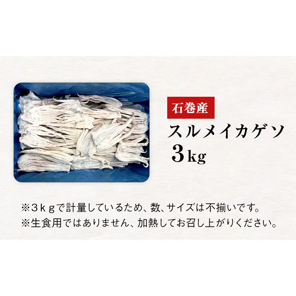 石巻市産スルメイカゲソ3kg 冷凍 国産 スルメイカ いか 下足 イカ イカゲソ カルパッチョ