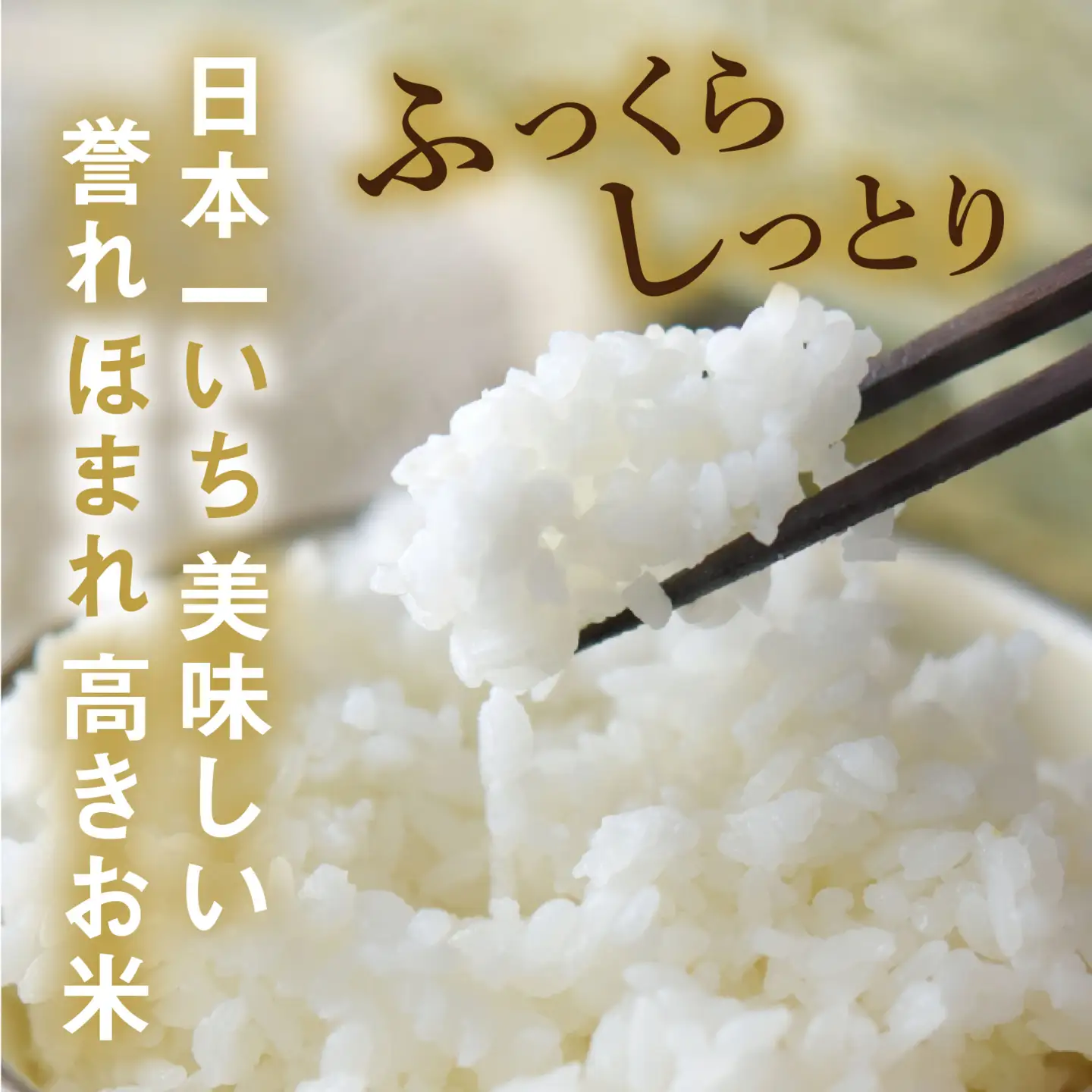 令和7年産 いちほまれ 無洗米 5kg(5kg×2袋) ブランド米 白米 [C-014009]