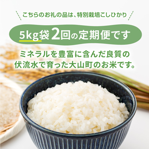 MR-16　減農薬・減化学肥料　特別栽培米こしひかり頒布会（白米5kg×2回）