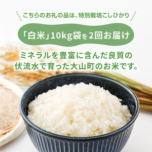 MR-17　減農薬・減化学肥料　特別栽培米こしひかり頒布会（白米10kg×2回）