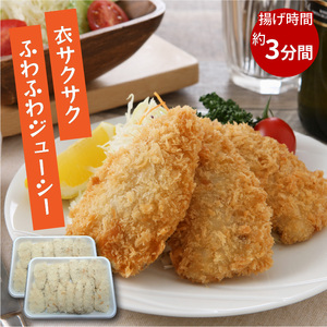 干物4枚とアジフライ14枚 セット｜干物 アジフライ【B0-213】