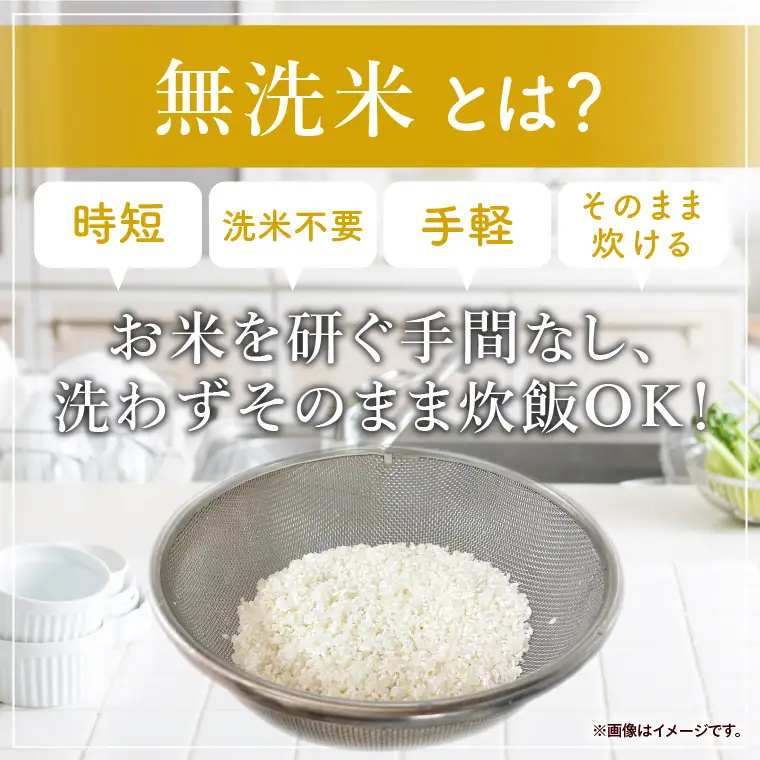 令和7年産 茨城県産 無洗米コシヒカリ5kg【お米 米 コメ こめ こしひかり 無洗米 北茨城市 茨城県】(AL256)