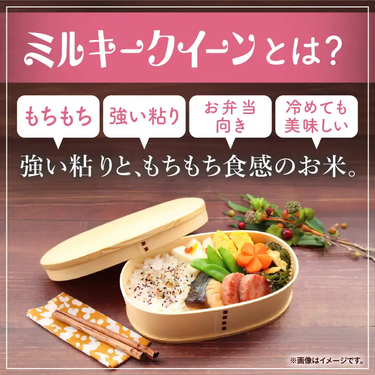 【人気2銘柄食べ比べ】令和7年産 茨城県産 コシヒカリ・ミルキークイーン　5kg×各1袋（計10kg）【お米 米 コメ こめ たべくらべ 35000円以内】(AL171)